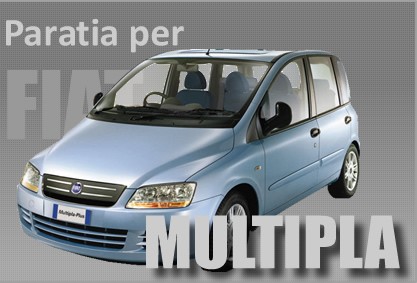 MULTIPLA