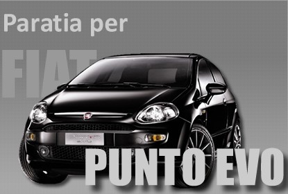 PUNTO EVO